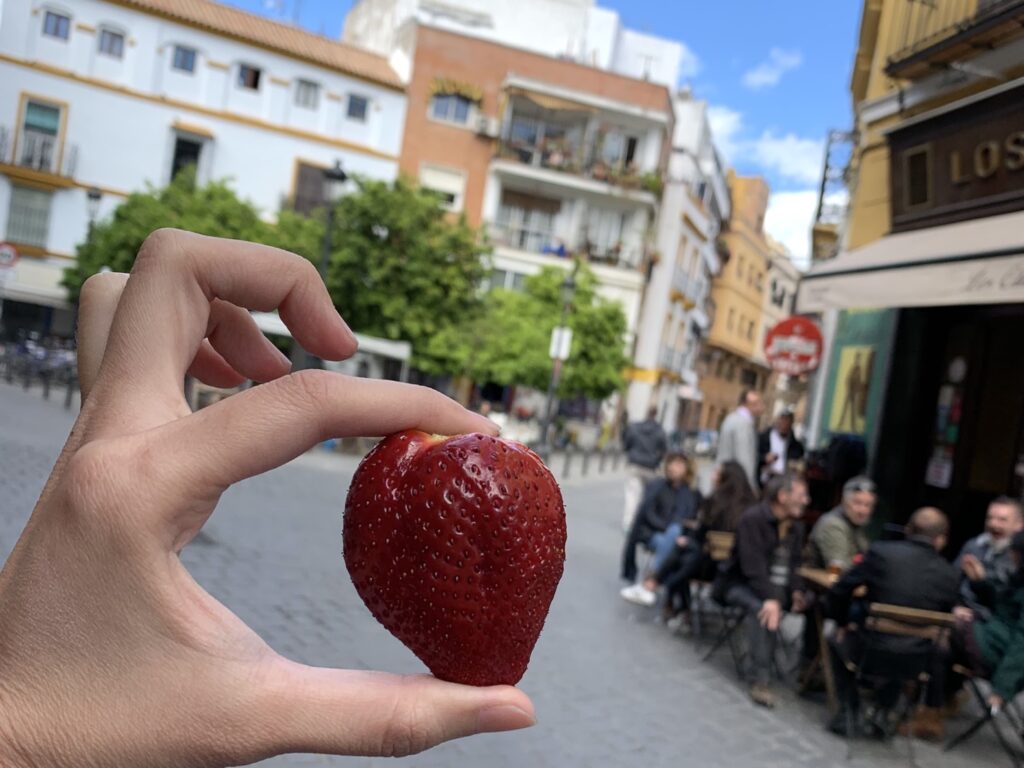 Sevilla|一期一遇,我的塞維亞奇遇 - 飄浮。日常 葡萄牙的草莓來了西班牙