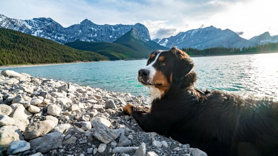 Expedition Happiness|從阿拉斯加到墨西哥,遠征幸福 - 飄浮。日常 Expedition Happiness_Rudi