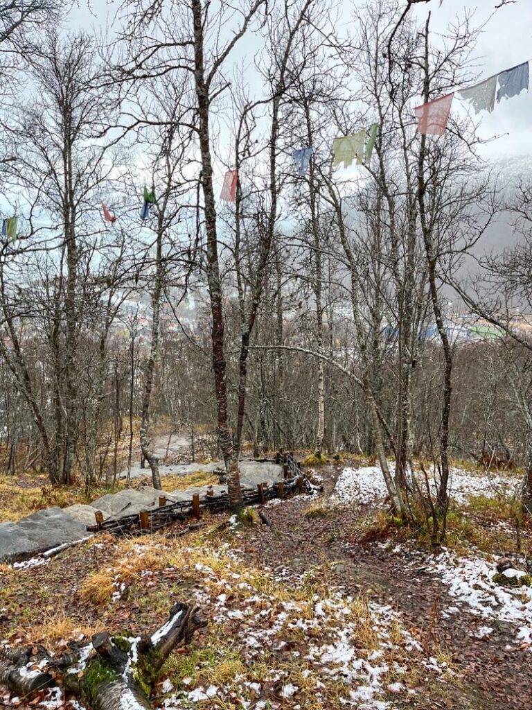 Tromso|特羅姆瑟 Sherpatrappa 健行,冬日北極圈內的第一場雪 - 飄浮。日常 特羅姆瑟健行